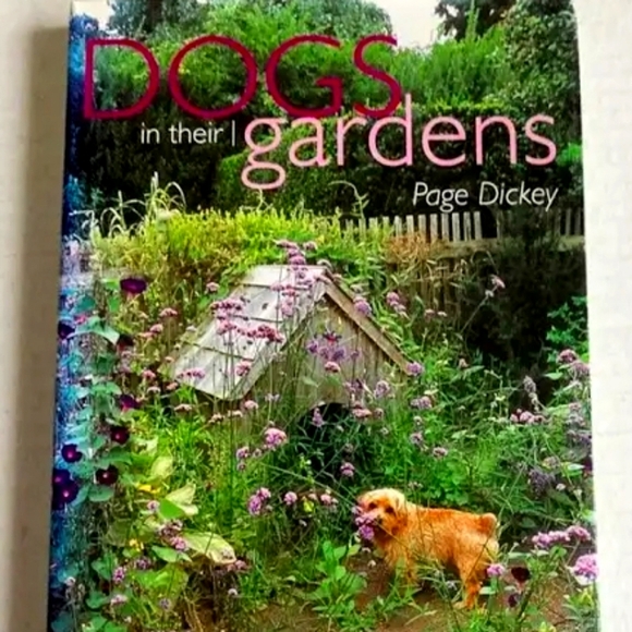 FUCHSIA PAISLEY EUC BOHEMIAN HALTER MAXI DRESS Body CENTRAL  SZ Medium - Picture 7 of 16